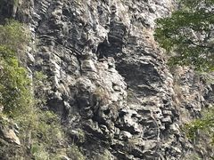 -狮子关旅游区
