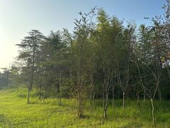 -池州市平天湖风景区
