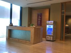 -芽庄喜来登水疗酒店