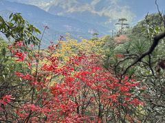 -三清山风景名胜区