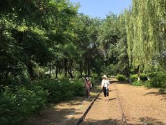 -永定河休闲森林公园