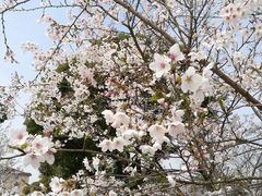 -中共上海市委党校 上海行政学院