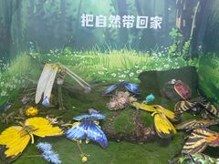 -陕西自然博物馆