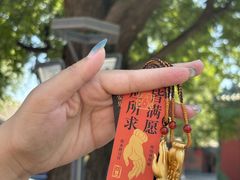 -隆兴寺