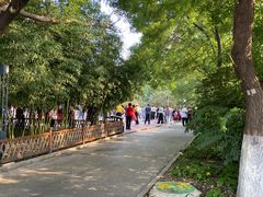 -莲花池公园
