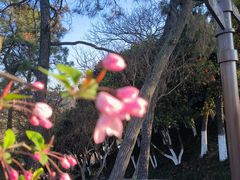-幕燕滨江·燕子矶公园
