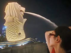-鱼尾狮公园