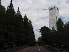 -东平国家森林公园