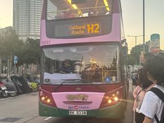 -Big Bus Tours 敞篷观光巴士