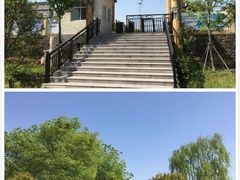 -中国扬子鳄村