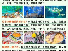 -三亚亚特兰蒂斯度假区