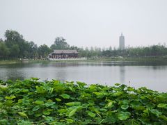 -西海子公园