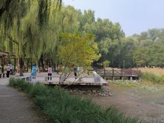 -望湖公园