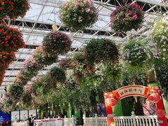 -常州花鸟园酒店(西太湖品牌优选店)