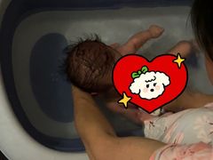 -田螺阿姨自营月嫂·育儿嫂(高新店)