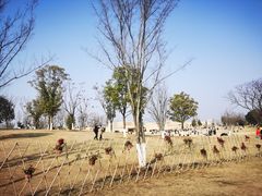 -盘龙城国家考古遗址公园