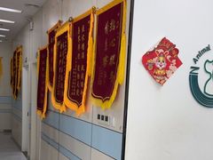 -中农国际动物医院24小时·猫科·骨科·急重症中心