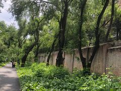 -黑龙江省森林植物园