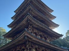 -醍醐寺