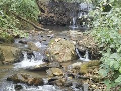 -莫里热带雨林景区