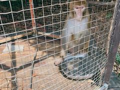 -武汉紫薇都市田园