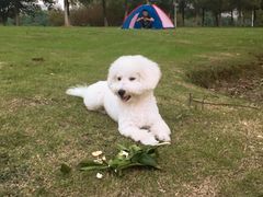 -艾溪湖湿地公园