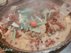 -老板恋上鱼(印象城店)