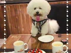 -百好乐宠物友好餐厅(朝外大街店)