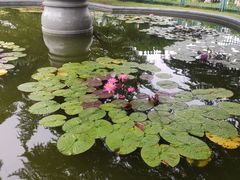 -国家植物园南园