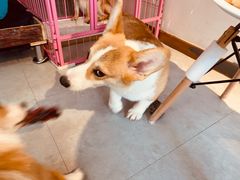 -汪说·狗咖(旺城大厦店)