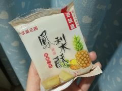 凤梨酥-苹果花园(桂林路店)