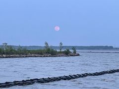 -合肥滨湖国家森林公园