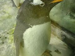 -大连圣亚海洋世界