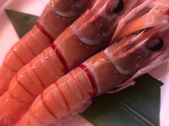 -Hatsune隐泉日式料理(SKP店)