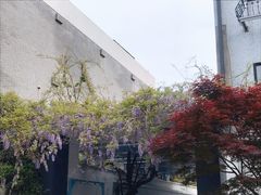 -阿木舂记·特色小吃(平江路店)