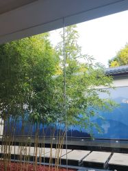 -爱儿美儿童摄影(朝阳公园店)