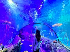 -沈阳海洋探索中心