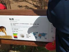 -太原动物园