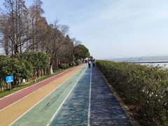 -贡湖湾湿地公园