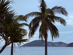 -日落吧·海景咖啡厅·餐酒吧·鸡尾酒·下午茶·乐队表演·浪漫夕阳·三亚文华东方酒店