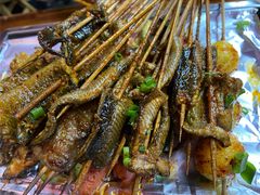 鳝鱼-晓靖轩烧烤(沙河风情店)
