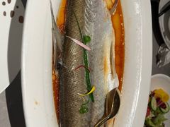 -醉庐·新上海菜(南京西路店)