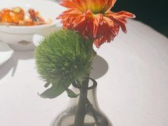 -许家菜(DT51店)