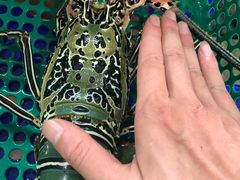 -班赞海鲜市场