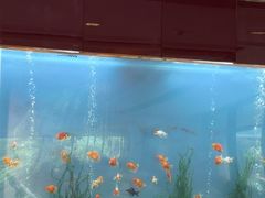 -阳澄湖费尔蒙酒店颐丰阁中餐厅(马鞍山西路店)