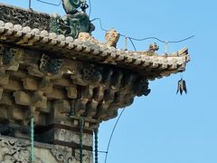 -北陵公园
