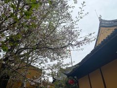 -龙华寺