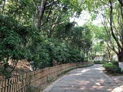 -乌镇东栅景区