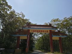 -六里坪国家森林公园