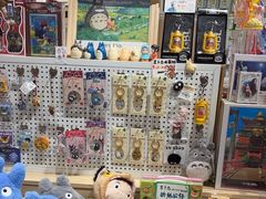 -猫的天空之城概念书店(束河店)